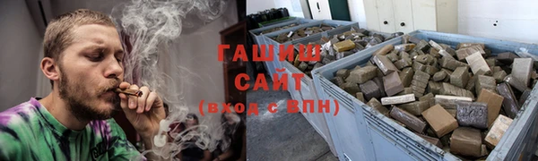 индика Нязепетровск