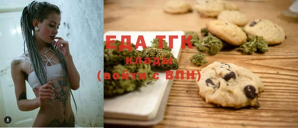 индика Нязепетровск