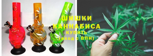 индика Нязепетровск