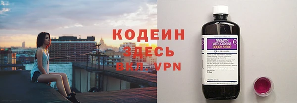 индика Нязепетровск