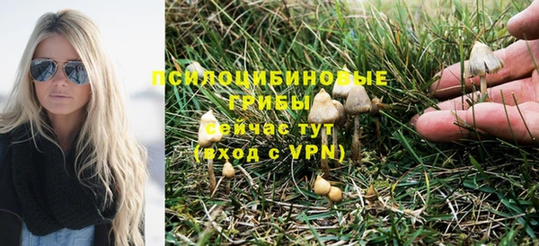 круглые Няндома