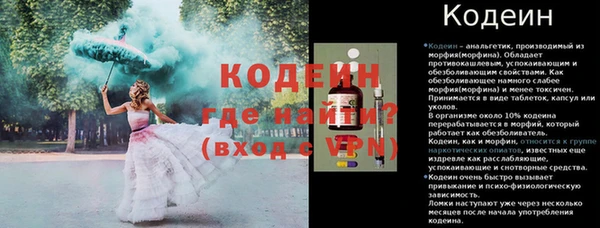 индика Нязепетровск