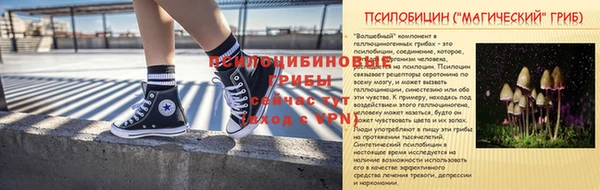 индика Нязепетровск