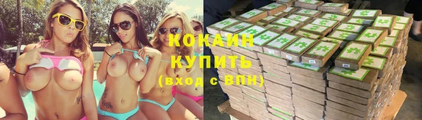 индика Нязепетровск