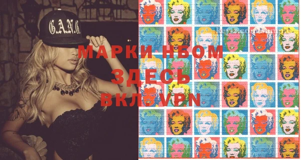 индика Нязепетровск